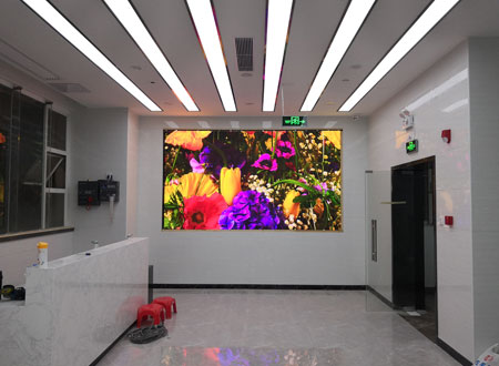东晓街道-LED透明屏厂家赫尔诺